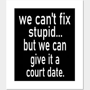 we can't fix stupid but we can give it a court date Posters and Art